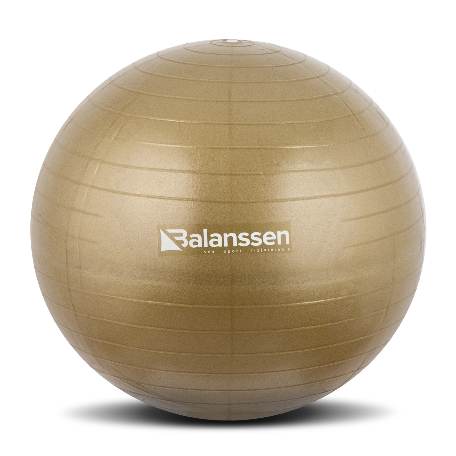 Balanssen Gym Ball ballon de gym ABS