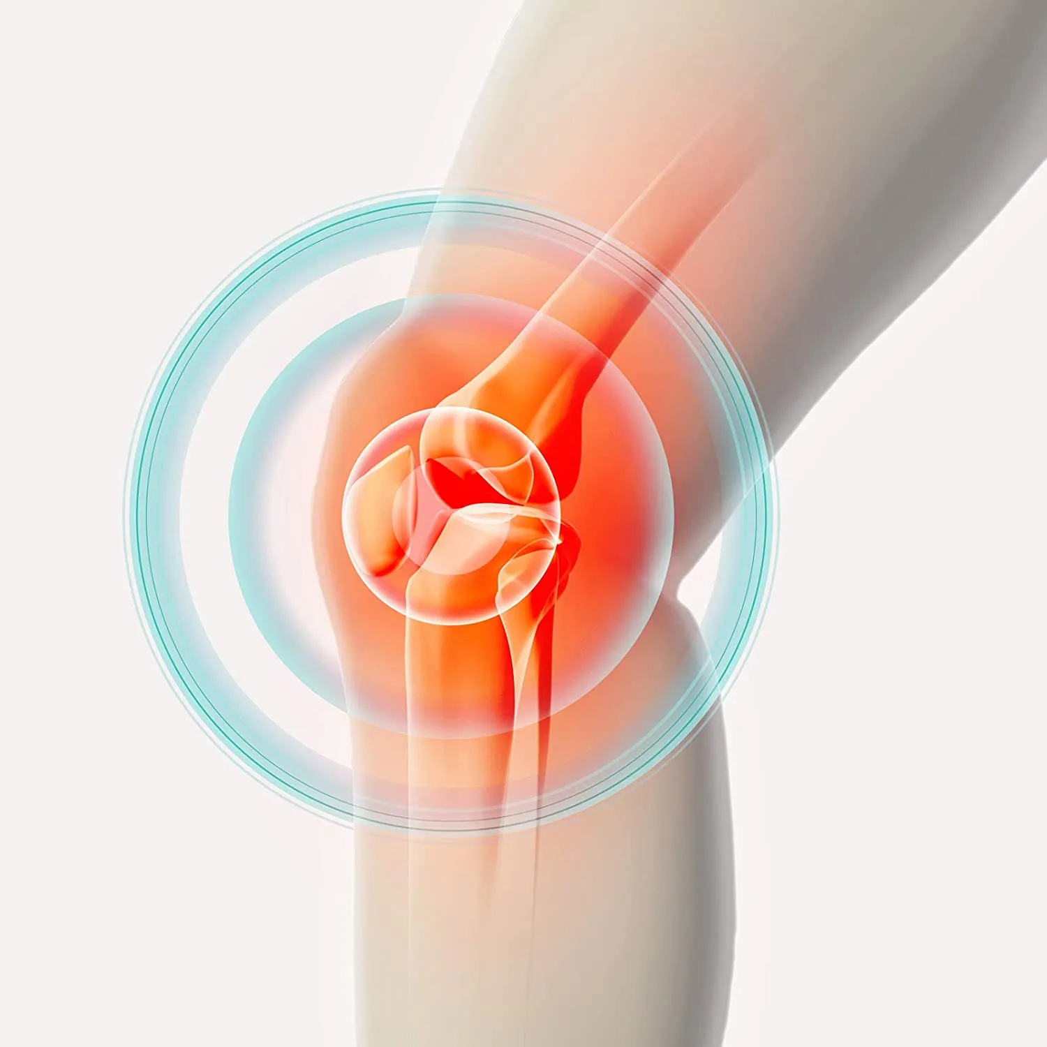 TESMED Knee 2 électrodes genou TENS EMS sans gel
